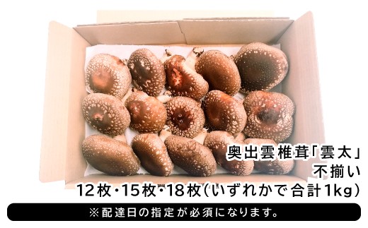 奥出雲椎茸「雲太」不揃い1kg【国産 キノコ 野菜】