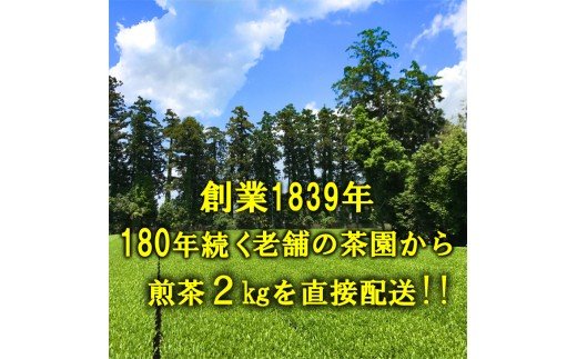 匠の技　「さしま茶」産地元詰 2kg （500g×4本） | お茶 2キロ 小分け 大容量 茶 緑茶 茶葉 日本茶 煎茶 さしま茶 猿島茶 詰合せ 取り寄せ お取り寄せ 老舗 お中元 ギフト 贈答 贈