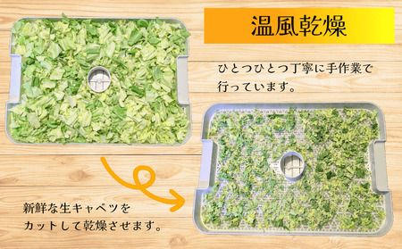 ドライキャベツ 計160g (10g×16袋) きゃべつ 野菜 乾燥 キャベツ 野菜 野菜 野菜 千葉県 銚子市 しんえもん農園【11～5月発送】