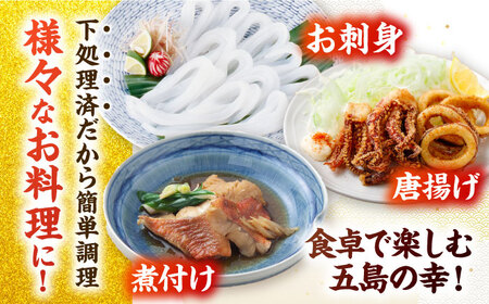 金沢仕立て鮮魚ボックス (旬の魚2種とアオリイカと魚醤油のセット) 詰め合わせ 三枚卸 真空パック 処理済み 五島市/金沢鮮魚 [PEP002] アオリイカ いか イカ アオリイカ いか イカ アオリ