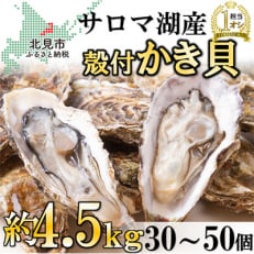 【先行受付】サロマ湖自慢の殻付きカキ貝(2年物)4.5kg詰め