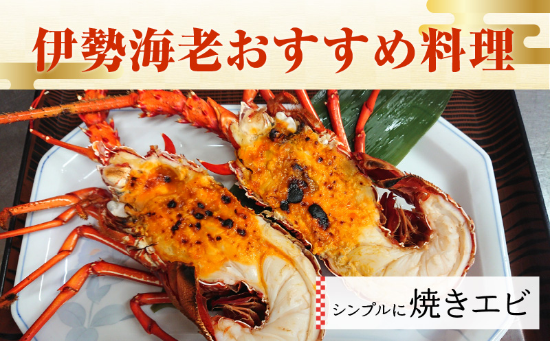 沖永良部島直送！素潜り漁師オススメの冷凍伊勢海老 約1kg（1〜3匹）！　W030-003u