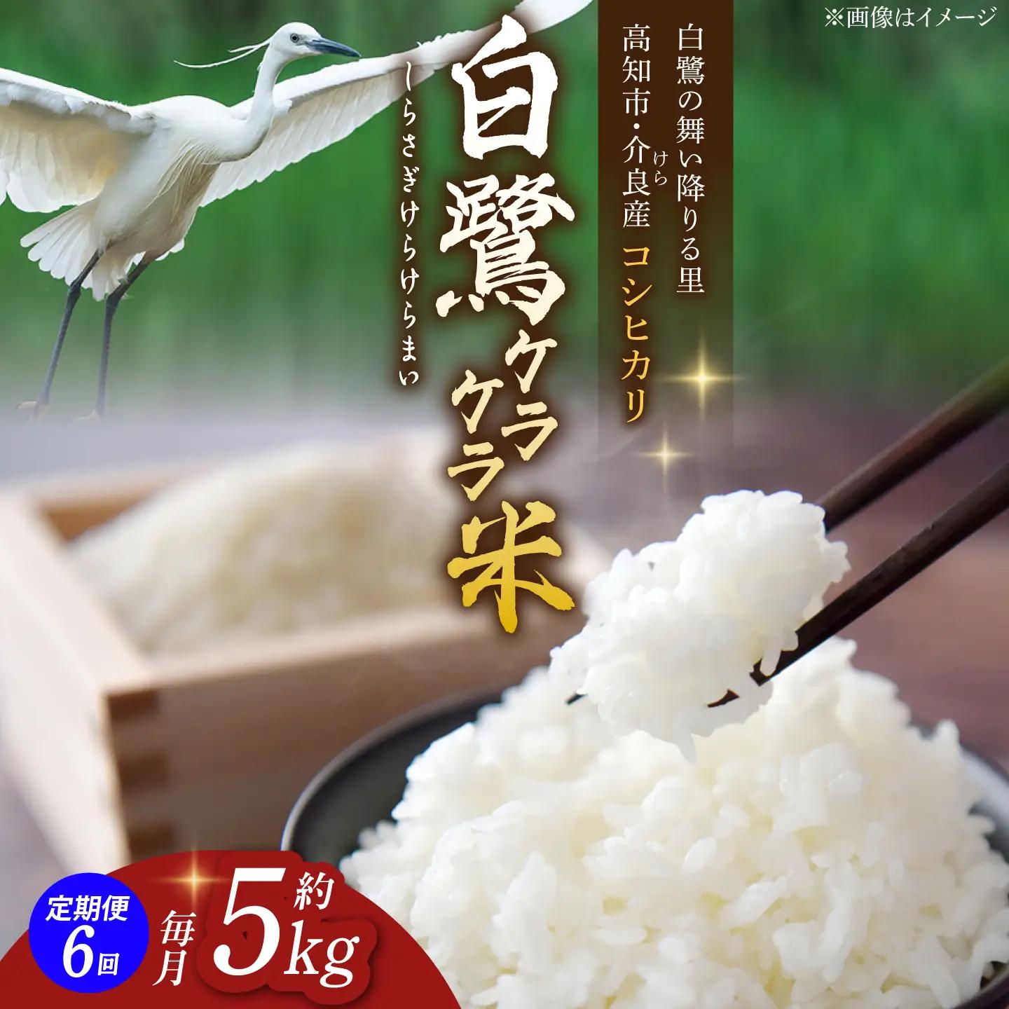 【6回定期便】 R8年度産 特別栽培米 農薬節減！ 白鷺ケラケラ米 コシヒカリ 各約5kg 合計約30kg / 高知 米 お米 精米 　【津ノ宮農園】[ATBV013]