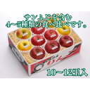 【ふるさと納税】【令和6年産先行予約】お楽しみ♪青森県産りんご「サンふじ」他 食べ比べセット【離島・沖縄配送不可】【配送不可地域：離島・沖縄県】【1423600】