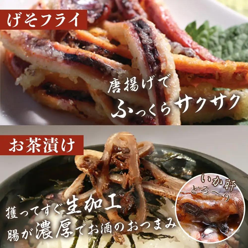 干物 イカ 佐渡沖産 3種 イカづくしセット1