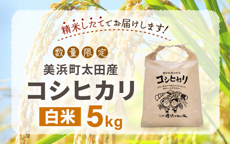 【先行予約】令和7年産・新米 美浜町太田産「コシヒカリ」 白米 5kg×1袋【2025年10月上旬以降順次発送予定】【 精米 福井県 美浜町産 特A 白米 こめ コメ お米 おこめ こしひかり 5キロ