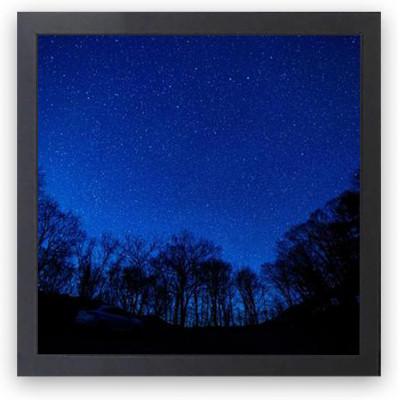 ふるさと納税 山県市 レコードジャケット額 黒 LP盤用 UVカットペット板仕様