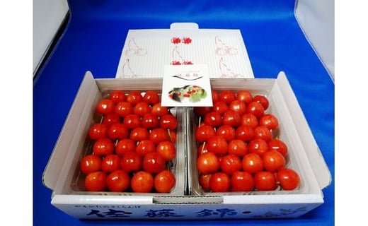08-07-014　さくらんぼ(佐藤錦)1kg
