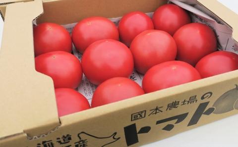 北海道栗山町産　うまみぎっしり大玉トマト ２kg