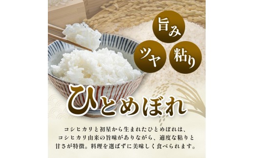 ＜令和8年産新米＞ ひとめぼれ 5kg お米 おこめ 米 コメ 白米 ご飯 ごはん おにぎり お弁当 精米 ブランド米 【道の駅かわさき】