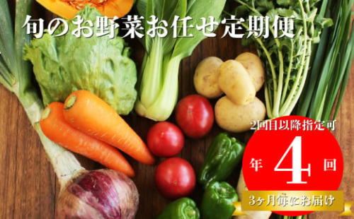 【年4回】高知から直送！旬の季節のお野菜定期便（7～9品）