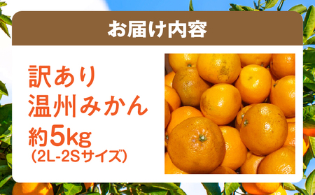 訳あり温州みかん　約5㎏_mk059-028