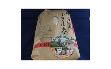 精米 5kg ほたる米【令和6年産】お米 米 ご飯 城里町 桂農産 ＼那珂川の清流ホタル米／【配送不可地域：離島】 (AX009)