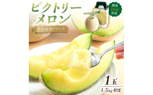 
            斎藤農園ブランド「ビクトリーメロン」アールスメロン(マスクメロン)1玉 1.5kg程度≪先行予約2026年6月下旬以降発送分≫【配送不可地域：北海道・青森・秋田・岩手・沖縄・離島】
          