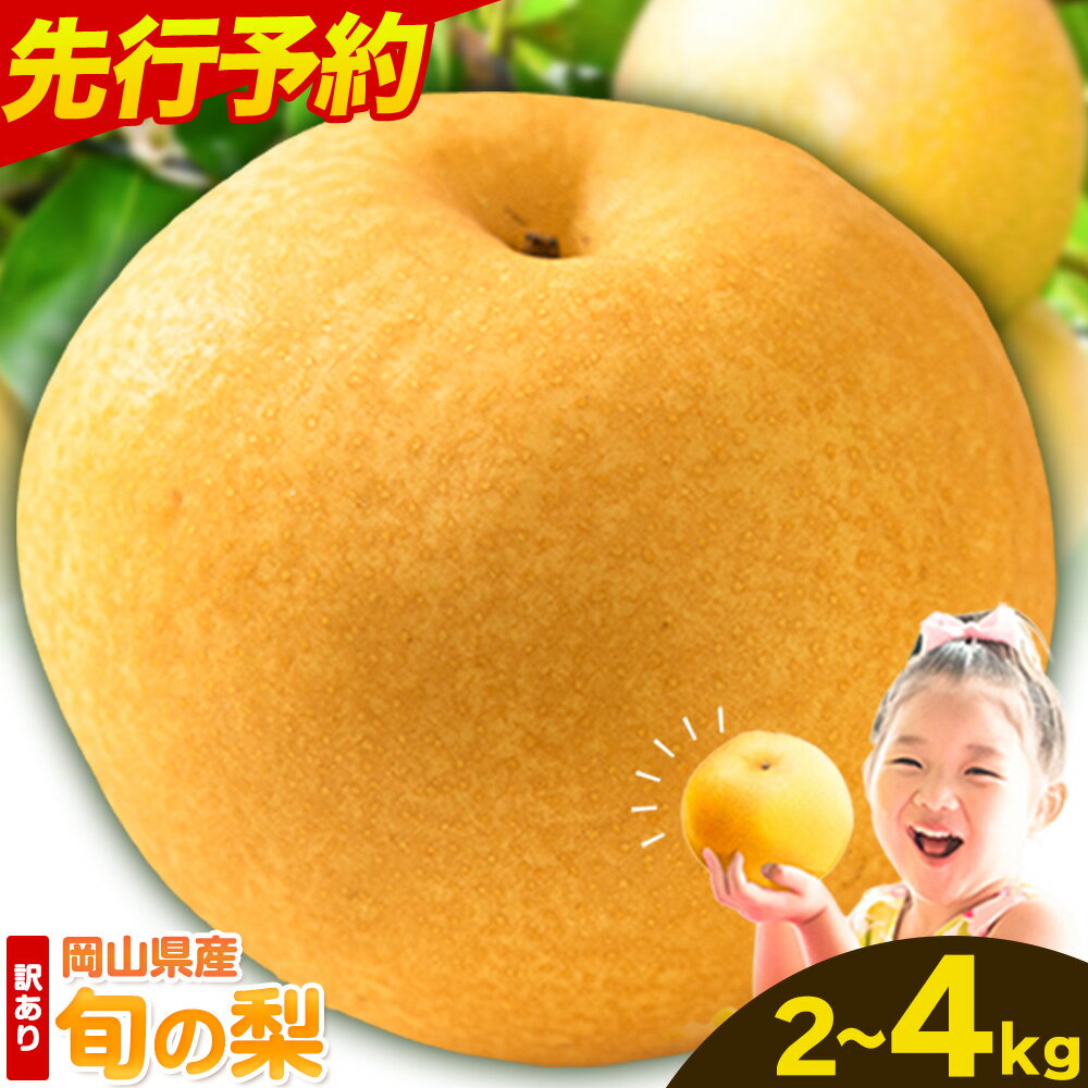 【ふるさと納税】楽天限定 岡山県産 訳あり 旬の梨 約2kg (2～4玉) 約 4kg (3～8玉) 梨 なし ナシ 果物 くだもの フルーツ お歳暮 ギフト 岡山県 備前市 新高梨 王秋梨 鴨梨 愛宕梨 年末《11月末～1月末頃出荷》