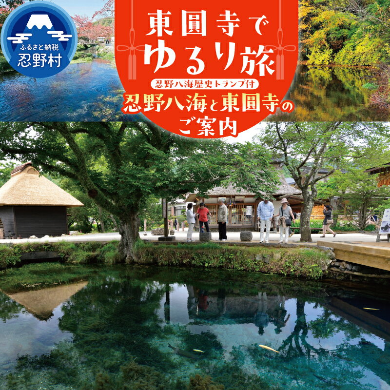 【ふるさと納税】 東圓寺 忍野八海 ご案内 体験 天台宗 四季折々 加護 恩恵 リラックス 癒す 優雅な時間 歴史トランプ付 山梨県 忍野村