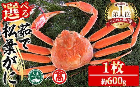 ＜数量限定！11月～3月上旬発送予定＞茹で松葉がに(1枚・約600g) 国産 魚介 海鮮 カニ かに 蟹 松葉ガニ 松葉蟹 ズワイガニ ずわいがに ボイル 冷蔵 【T-DI3】【大山ブランド会】