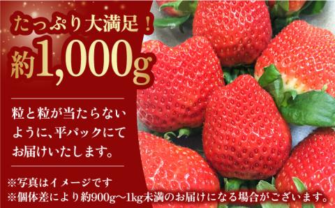 【1月より配送・やさしい味わい】いちごさん 平パック 4P 約1kg 吉野ヶ里町/リエンサーク [FCC003]