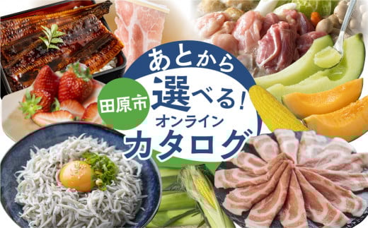 ＼50品から選べる／ 田原市　あとから選べる！オンラインカタログ 地鶏 名古屋コーチン 牛肉 肉 国産牛 田原ポーク 豚肉 いちご メロン 選べる しらす うなぎ カタログ 定期便 特産品 グルメ 田原市