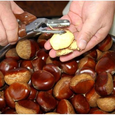 ふるさと納税 掛川市 萩野屋 掛川栗の 栗きんとん 6個×3箱 計18個入 |  | 02