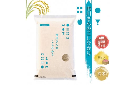 特別栽培米　市川さんのこしひかり 令和6年産【玄米5kg×定期便3カ月】　コメ　信州　おいしい　ごはん【 米 コメ 備蓄品 仕送り おすそ分け 備蓄米 長野県 佐久市 】