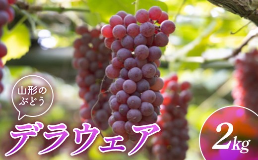 山形県産ぶどう デラウェア 2kg FSY-2892