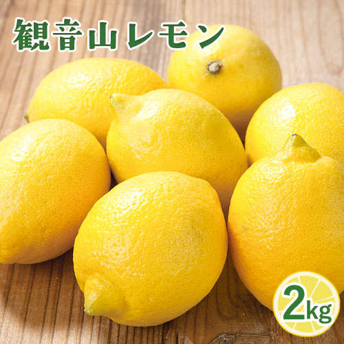 観音山レモン 2kg(約16玉-20玉) 有限会社柑香園《2026年10月中旬-2027年3月末頃出荷》和歌山県 紀の川市 フルーツ 果物 柑橘 檸檬 レモン