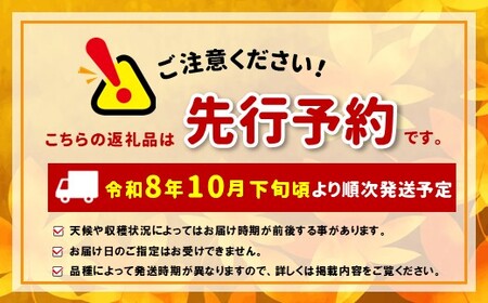 【先行受付：2026年発送】訳アリ　シナノゴールド　3㎏（9～12玉）