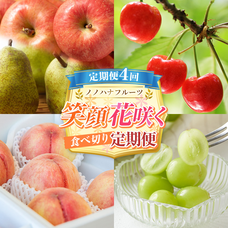 【定期便4回】ノノハナフルーツ 笑顔花咲く 食べ切り定期