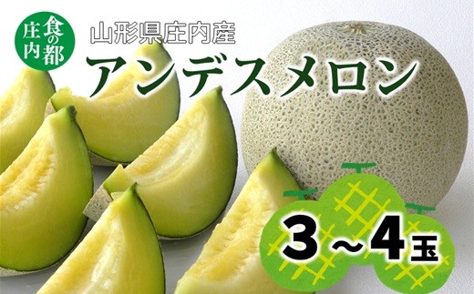 
            【2026年産 先行予約】食の都庄内　アンデスメロン 3～4玉※2026年7月上旬頃より発送開始予定
          