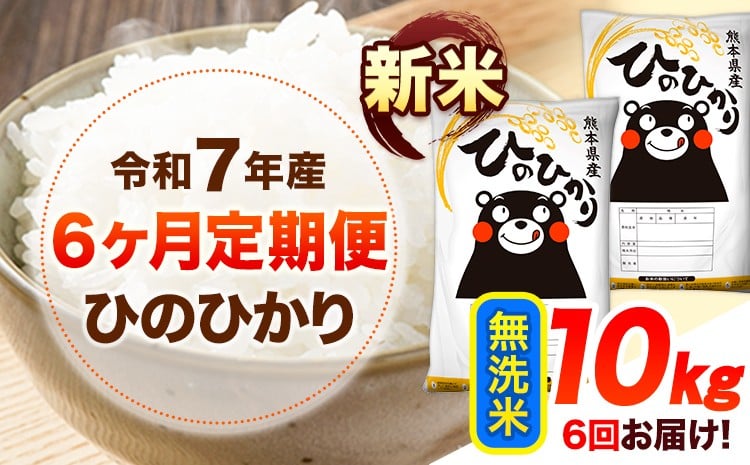 
            令和7年産【6ヶ月定期便】新米 無洗米 ひのひかり 10kg 《お申し込み月の翌月から出荷開始》 熊本県産 無洗米 精米 ひの 送料無料 熊本県 山江村 SDGs 米 コメ こめ 国産
          