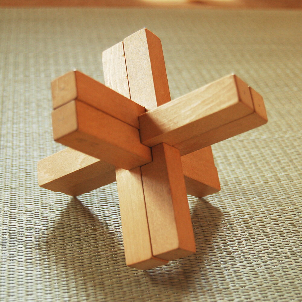 【ふるさと納税】【数量限定】[木育] からくり脳トレ組木パズル [0215] 子供 子どお 学習 勉強 木材 木 雑貨 おもちゃ 玩具 日本製 安全 知育 教育 [mt1282]