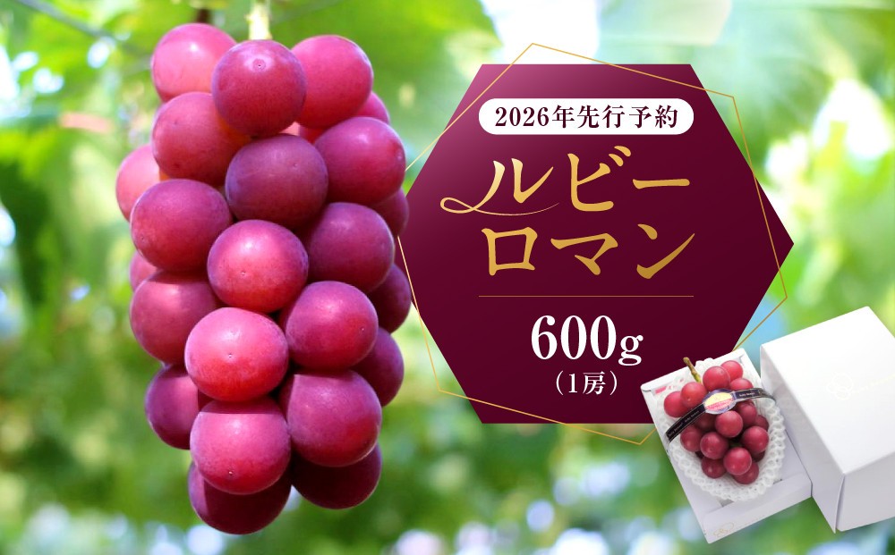 
ルビーロマン　600g
