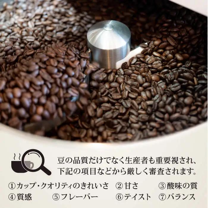コーヒー[豆]6回定期 自家焙煎スペシャルティコーヒー豆(250g×2種)約40杯分ZCJ016