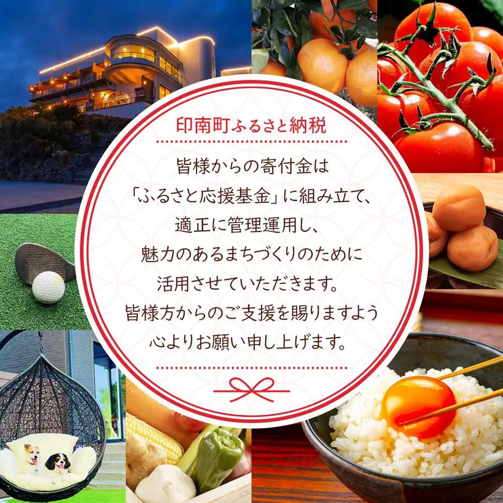 家庭用 冷凍梅 約2kg 紀州 南高梅 青梅 黄梅 完熟梅 訳あり［IKE332］