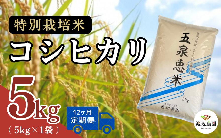 
            【令和6年産新米】 〈12回定期便〉渡辺農園の特別栽培米コシヒカリ 精米 5kg(5kg×1袋) 新潟県 五泉市 渡辺農園 [9月下旬以降順次発送]
          