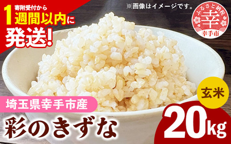 令和7年産【彩のきずな】玄米20kg 色彩選別済 Brown Rice - お米 ごはん 