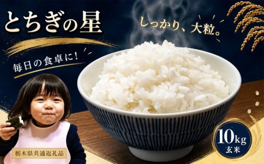 お米 令和8年産 とちぎの星 玄米 10kg【2026年 先行予約】 | 栃木県共通返礼品 真岡市産