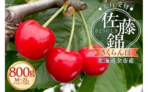 
                  【2026年産 先行予約】＜北海道余市産＞さくらんぼ「佐藤錦」（M～2Lサイズバラ詰め）400ｇ×2パック
                