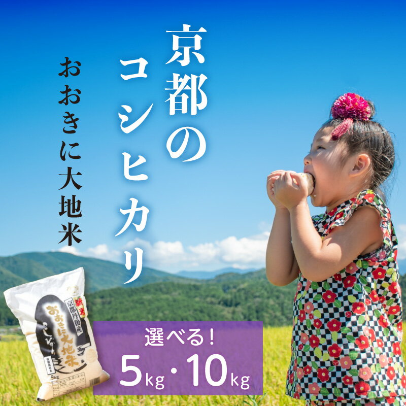 【ふるさと納税】有機JAS認証米「おおきに大地米」 5kg 10kg 選べる 内容量 ふるさと納税 お米 米 こめ コシヒカリ こしひかり 5 10 美味しい 限定