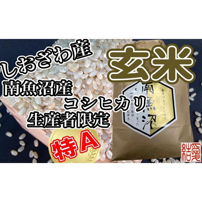 【令和7年産】【定期便】玄米 南魚沼しおざわ産コシヒカリ10Kg×3ヶ月【2025年10月上旬より順次発送予定】