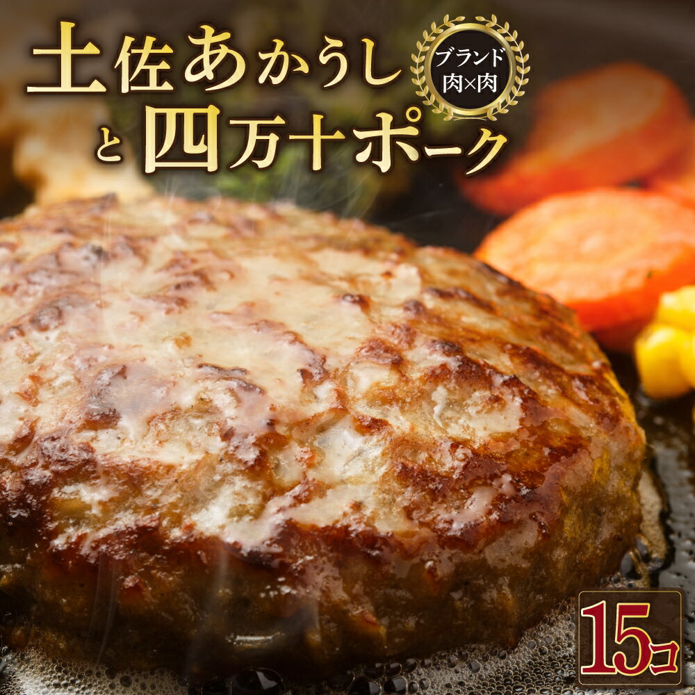 【ふるさと納税】土佐あかうしと四万十ポークのハンバーグ　15個セット 惣菜 おかず 冷凍 小分け 豚 高知県 牛 四万十ポーク 土佐あかうし 赤牛 赤うし 国産 温めるだけ 湯煎 送料無料 yj072