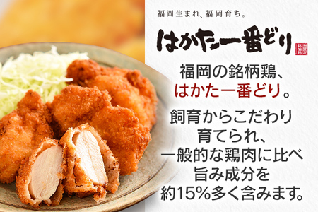 はかた一番どり チキンカツ 10枚×2袋 国産 福岡県産銘柄鶏 冷凍 揚げるだけ おかず 惣菜 送料無料