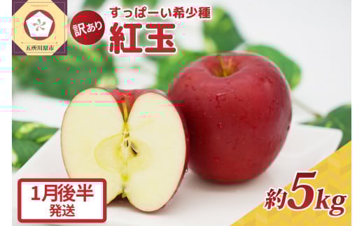 紅玉5kg 程度 紅玉リンゴ 訳あり 青森|タルトタタン に最適 不揃い りんご 【1月後半発送】