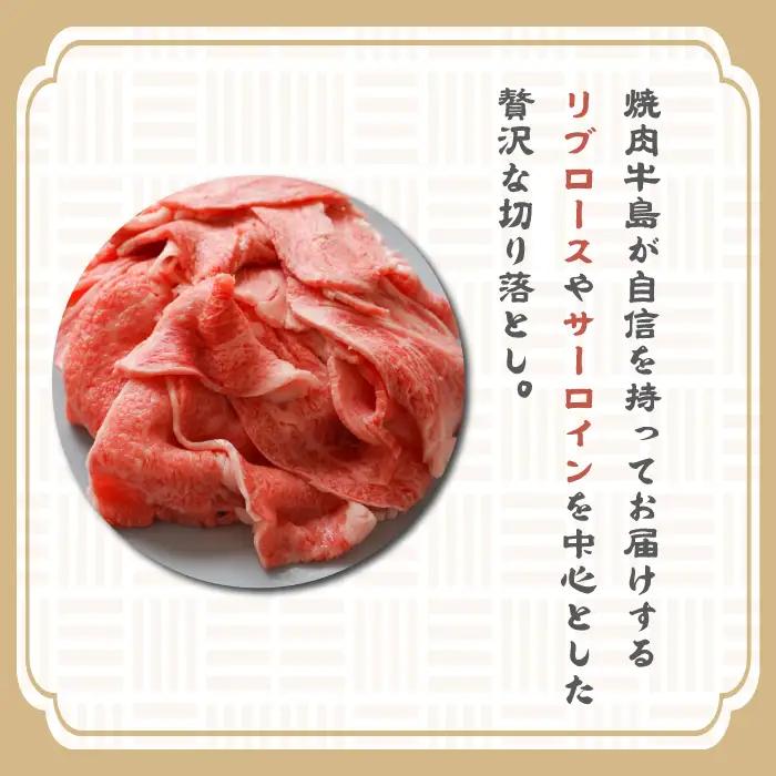 【定期便6ヶ月】淡路牛 贅沢切り落とし 1kg (250g×4PC)　[小分け 冷凍]