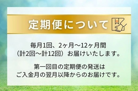 【定期便6ヶ月】静岡県産 緑茶 500ml×24本 ｜ ラベルレス ペットボトル お茶 飲料 ※沖縄・離島への配送不可