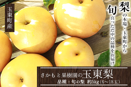 さかもと果樹園の玉東梨 約5kg (6玉-18玉前後)《8月中旬-9月末頃出荷》【日付指定・品種指定不可】 ｜ブランド梨 人気梨 特産品梨 熊本県梨 玉東町梨 大人気返礼品