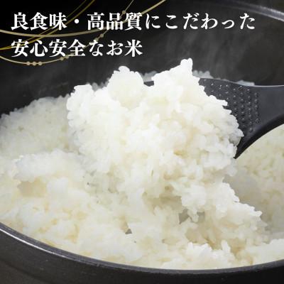 ふるさと納税 出雲崎町 【令和7年産新米】新潟県出雲崎町産「新之助」精米 20kg |  | 01