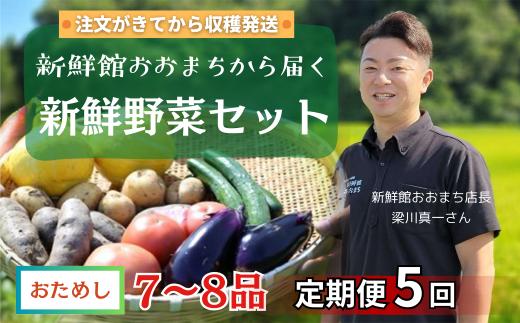 【定期便5回】注文が来てから収穫発送！収穫したばかりの新鮮野菜セットお試しコース 《7～8品》  季節のお野菜 おまかせ お楽しみ 獲れたて産地直送 旬 春野菜 ベジタブル ヘルシー 健康 詰め合わせ 一関市