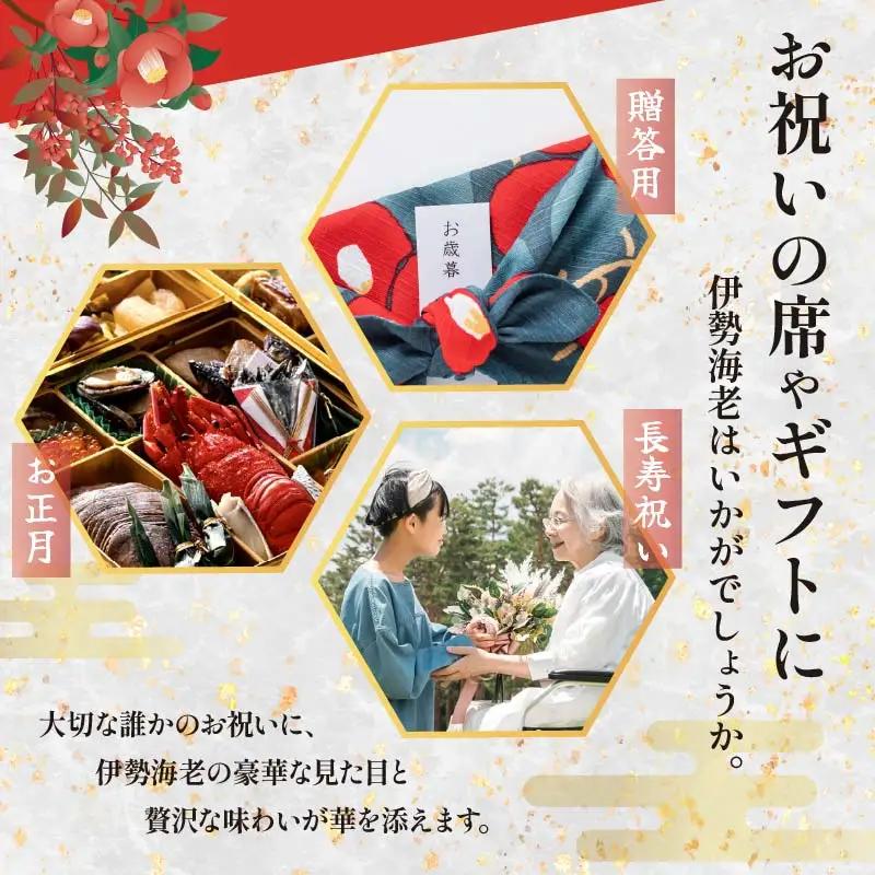 【 伊勢海老 】天然伊勢海老 700g